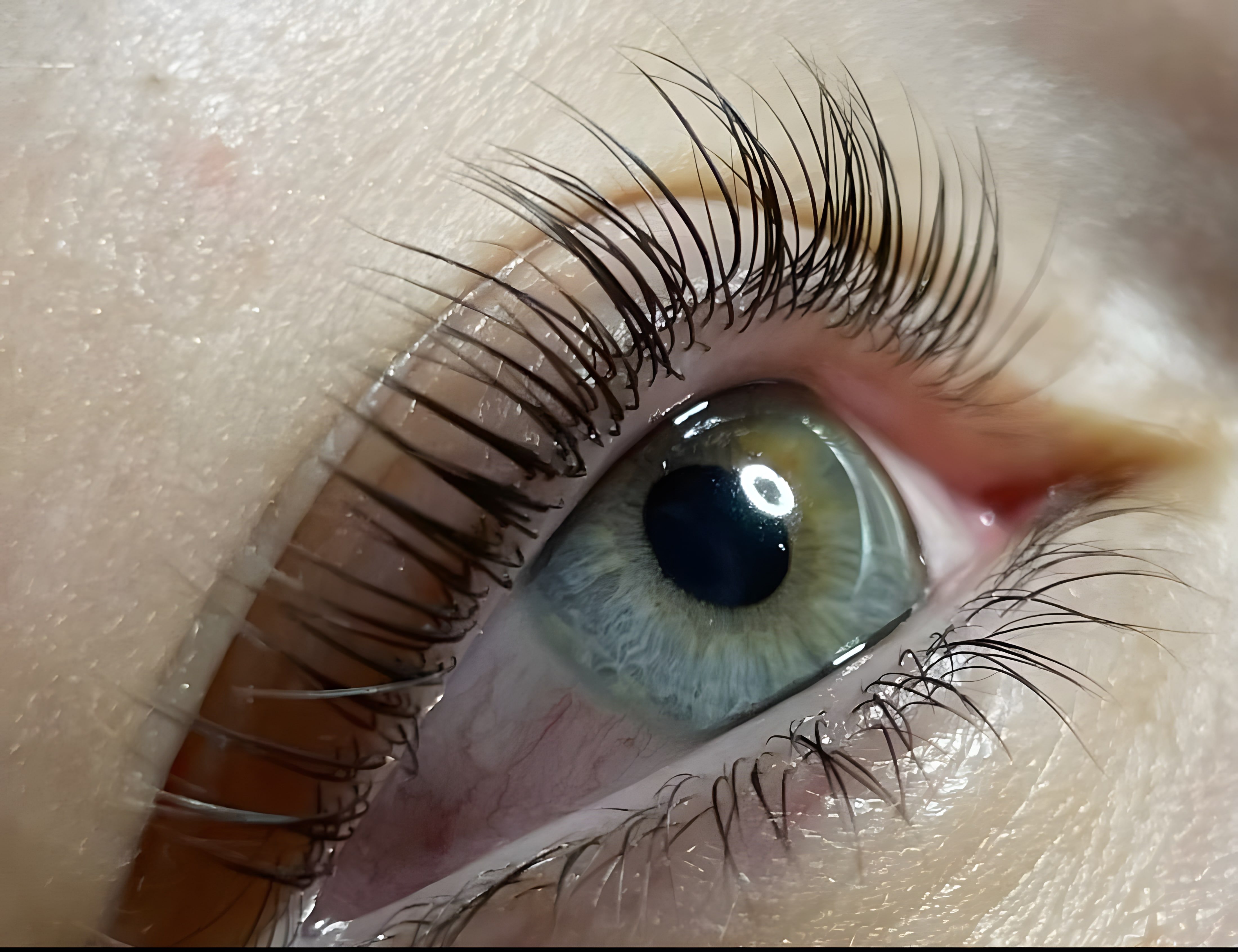 Rehaussement de cils